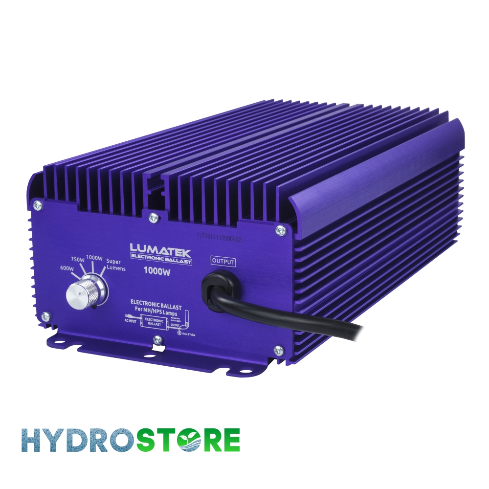 Electronic ballast store 1000w